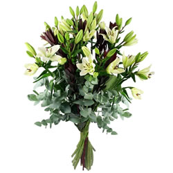 Bouquet de Flores Paz Imperial